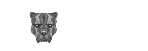 Alpha Neon